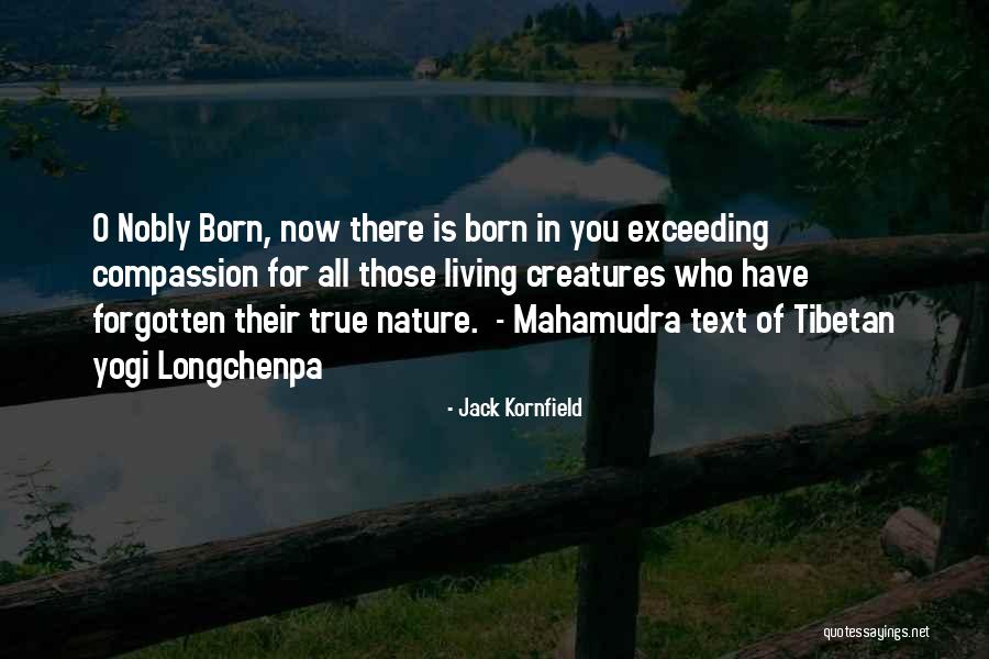 In Text Quotes By Jack Kornfield In Text Quotes By Jack Kornfield