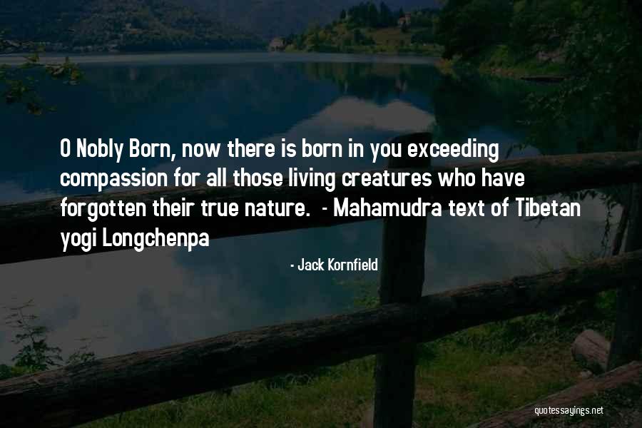 In Text Quotes By Jack Kornfield