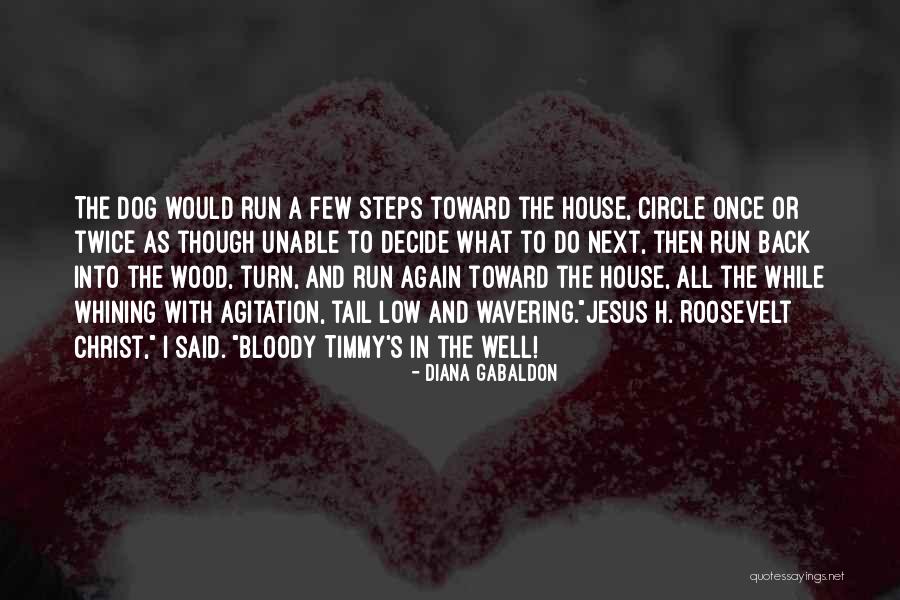 In The Dog House Quotes By Diana Gabaldon In The Dog House Quotes By Diana Gabaldon