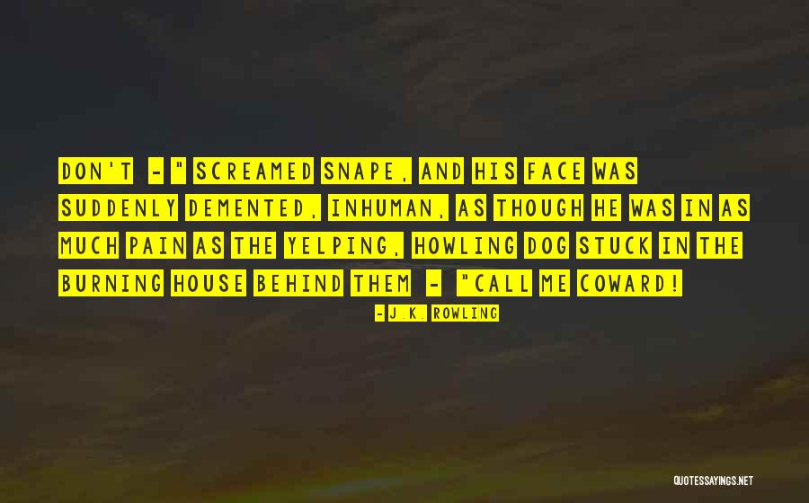 In The Dog House Quotes By J.K. Rowling In The Dog House Quotes By J.K. Rowling