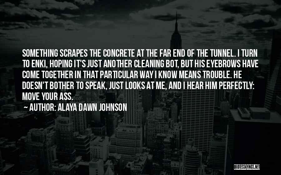 In The End It's Just Me Quotes By Alaya Dawn Johnson