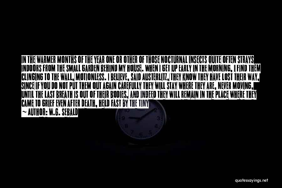 In The End You Find Out Quotes By W.G. Sebald