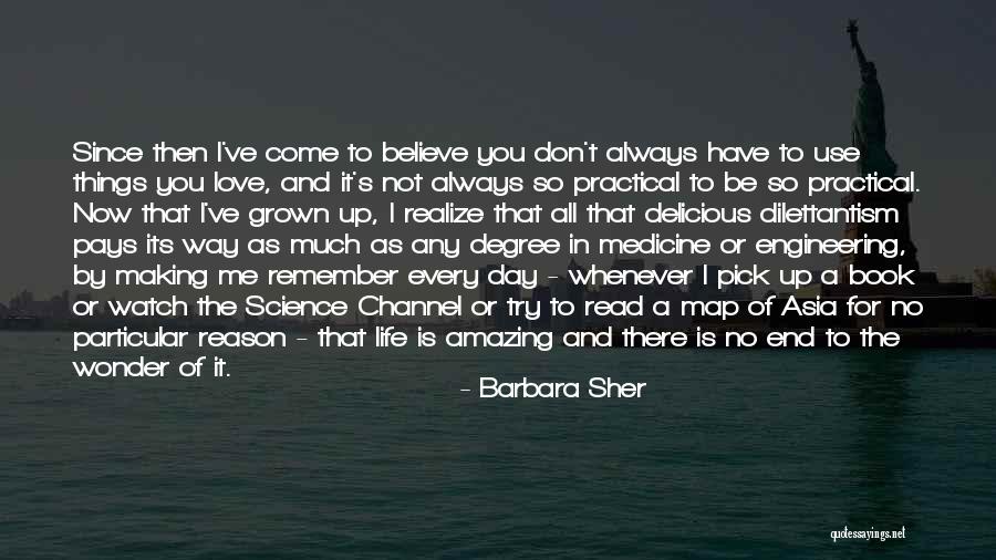 In The End You Realize Quotes By Barbara Sher In The End You Realize Quotes By Barbara Sher