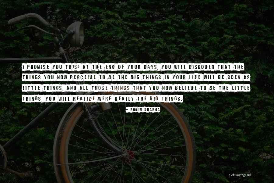 In The End You Realize Quotes By Robin Sharma In The End You Realize Quotes By Robin Sharma