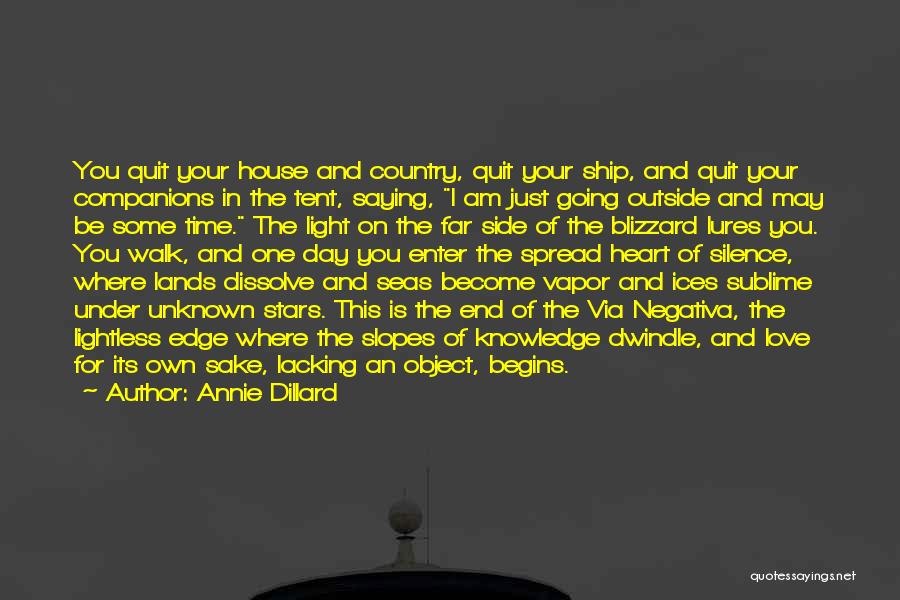 In The End You're On Your Own Quotes By Annie Dillard