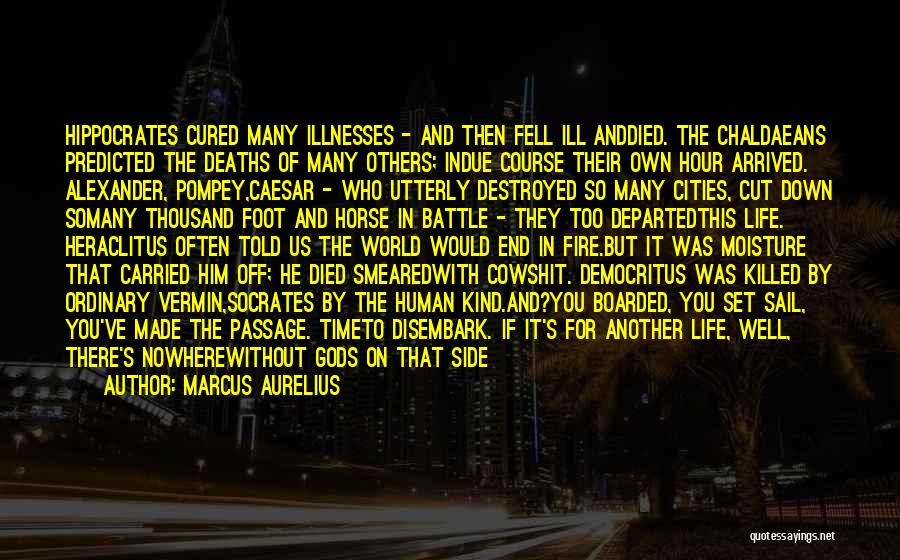In The End You're On Your Own Quotes By Marcus Aurelius