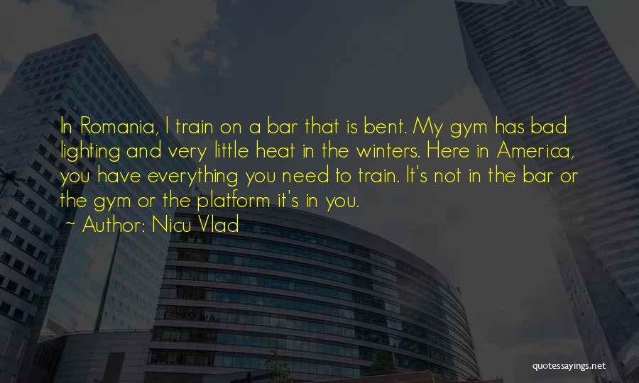 In The Gym Quotes By Nicu Vlad