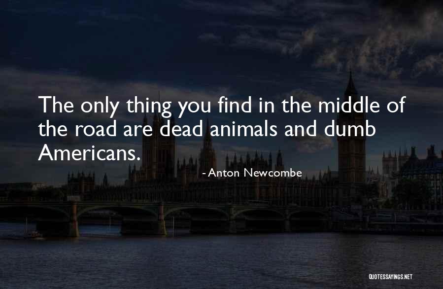 In The Middle Of The Road Quotes By Anton Newcombe