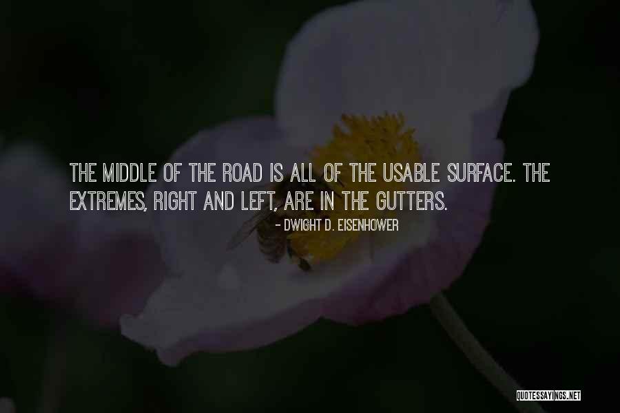 In The Middle Of The Road Quotes By Dwight D. Eisenhower