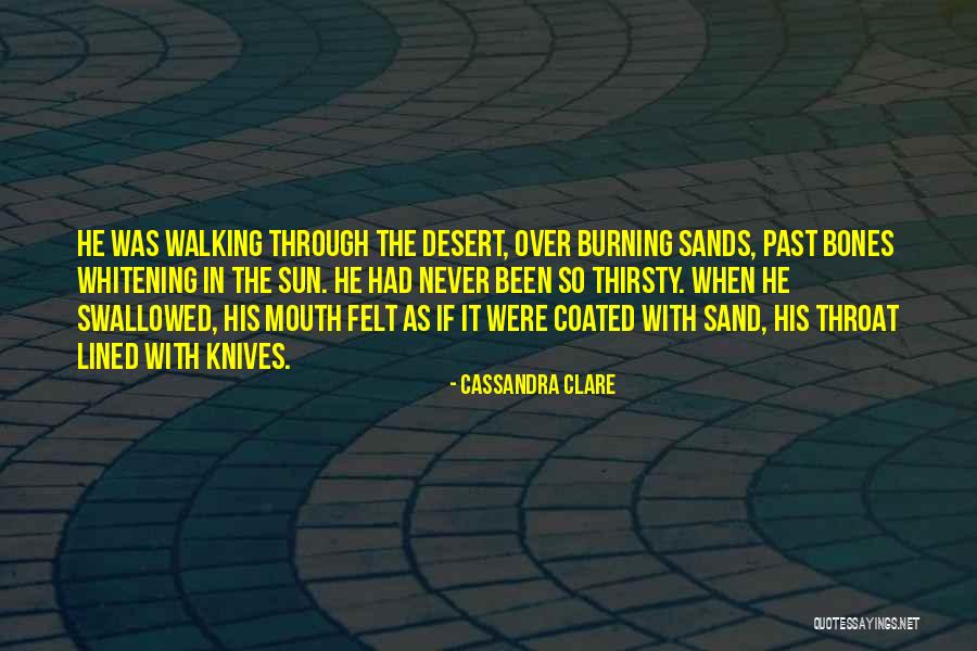 In The Past Quotes By Cassandra Clare