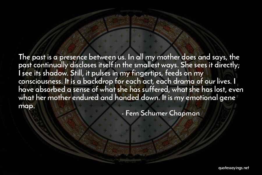 In The Past Quotes By Fern Schumer Chapman