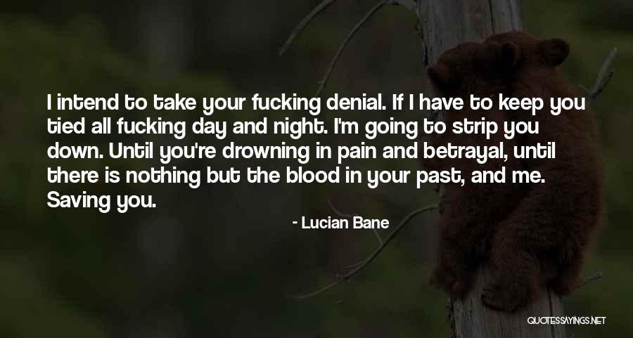 In The Past Quotes By Lucian Bane In The Past Quotes By Lucian Bane