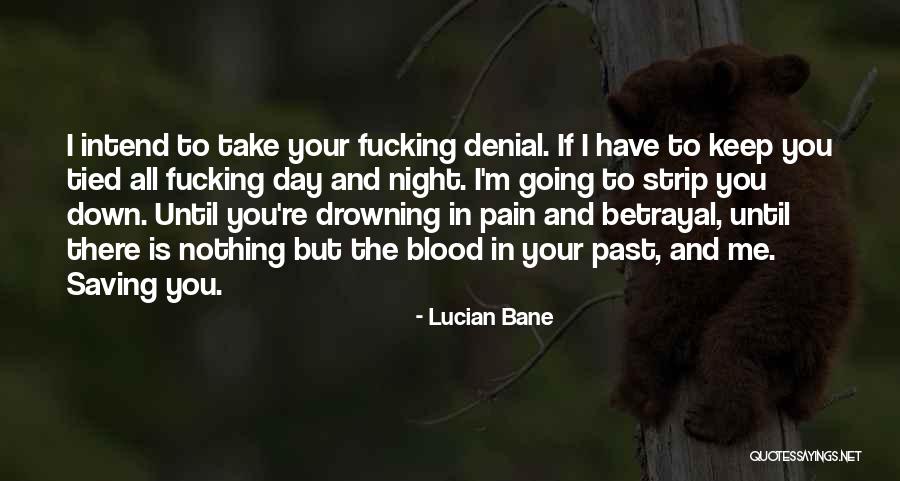 In The Past Quotes By Lucian Bane