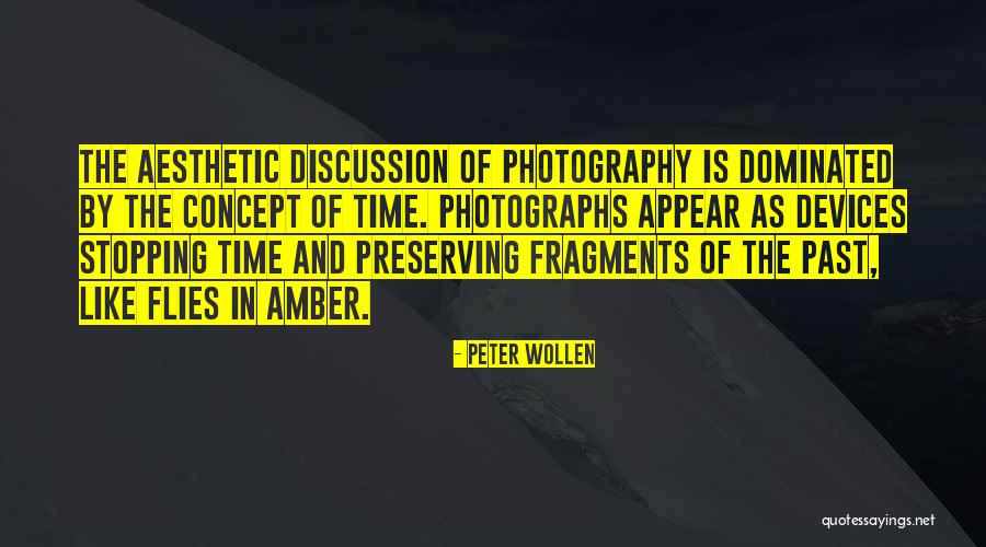 In The Past Quotes By Peter Wollen