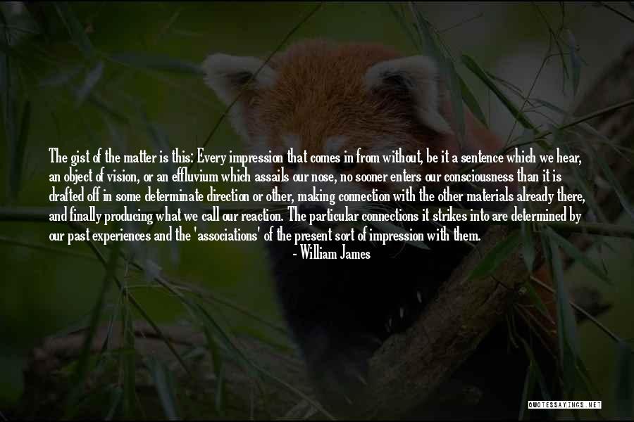 In The Past Quotes By William James In The Past Quotes By William James
