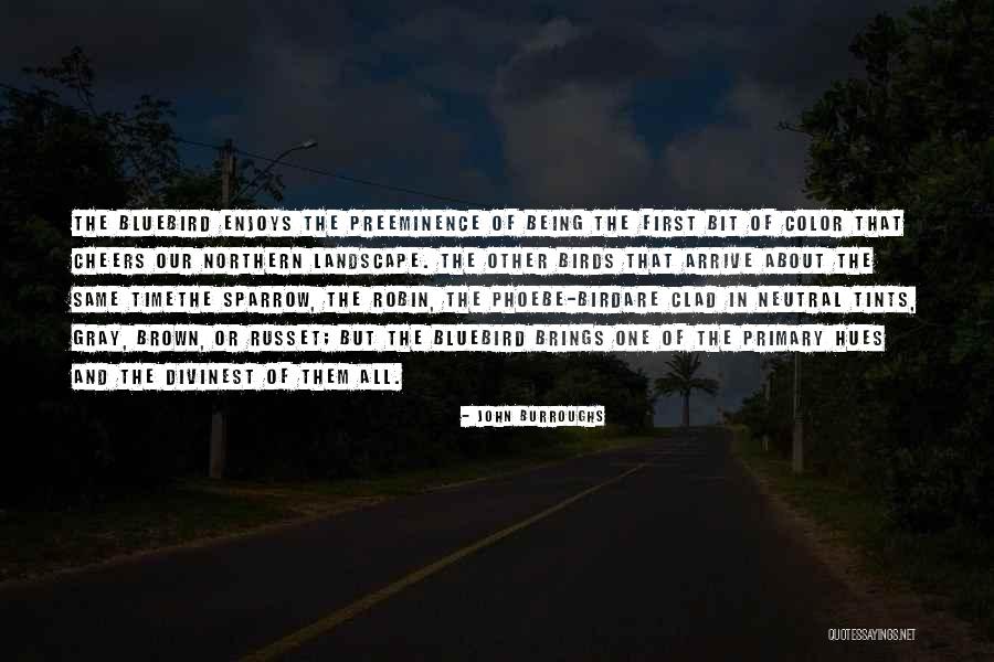 In The Path Of Falling Objects Quotes By John Burroughs In The Path Of Falling Objects Quotes By John Burroughs