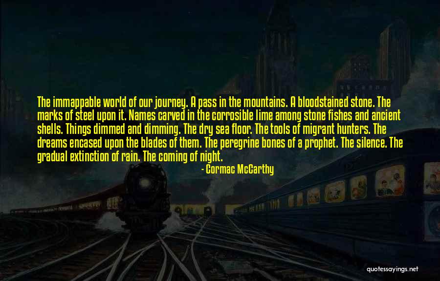 In The Silence Of The Night Quotes By Cormac McCarthy