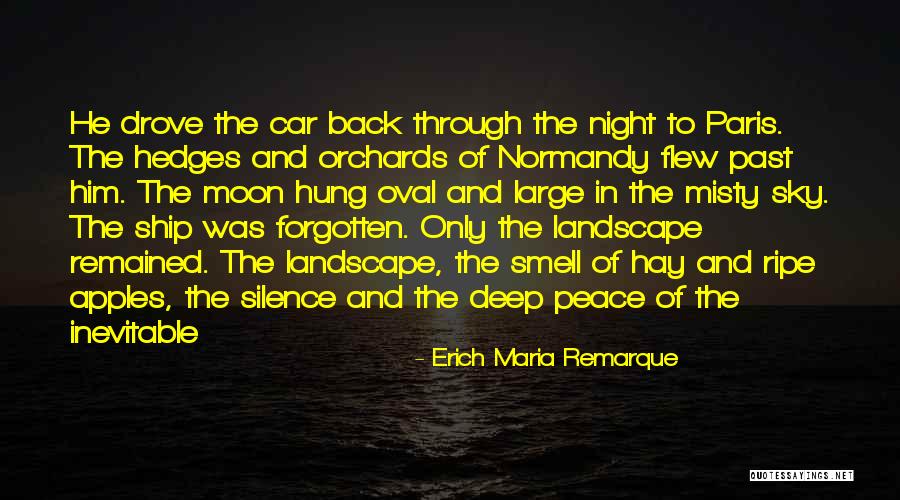 In The Silence Of The Night Quotes By Erich Maria Remarque