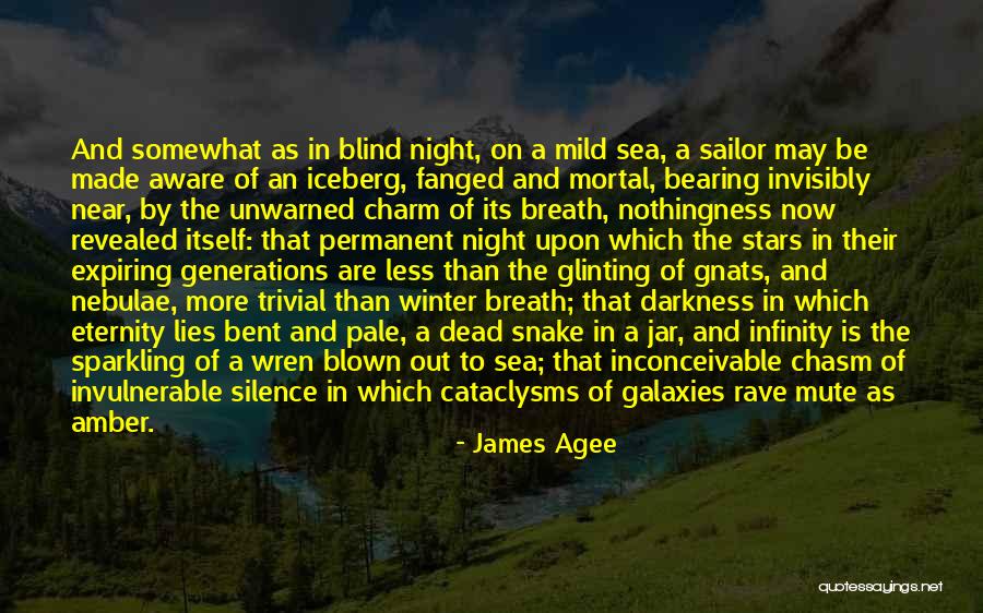 In The Silence Of The Night Quotes By James Agee