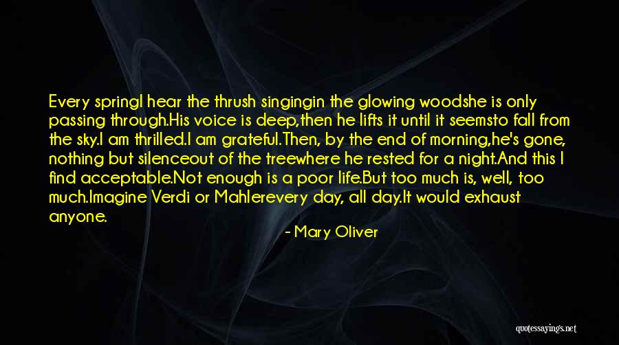 In The Silence Of The Night Quotes By Mary Oliver