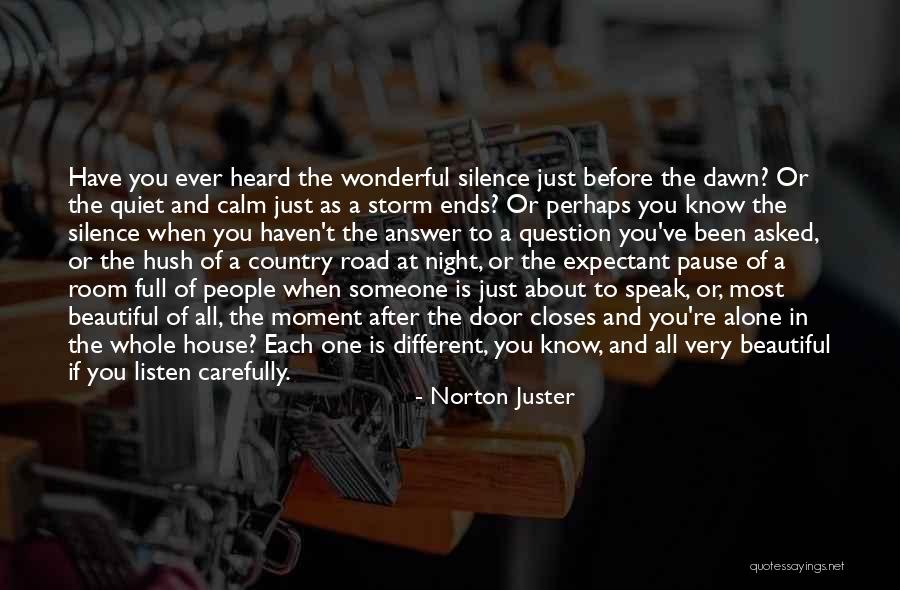 In The Silence Of The Night Quotes By Norton Juster In The Silence Of The Night Quotes By Norton Juster