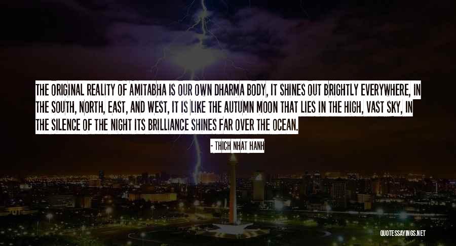 In The Silence Of The Night Quotes By Thich Nhat Hanh