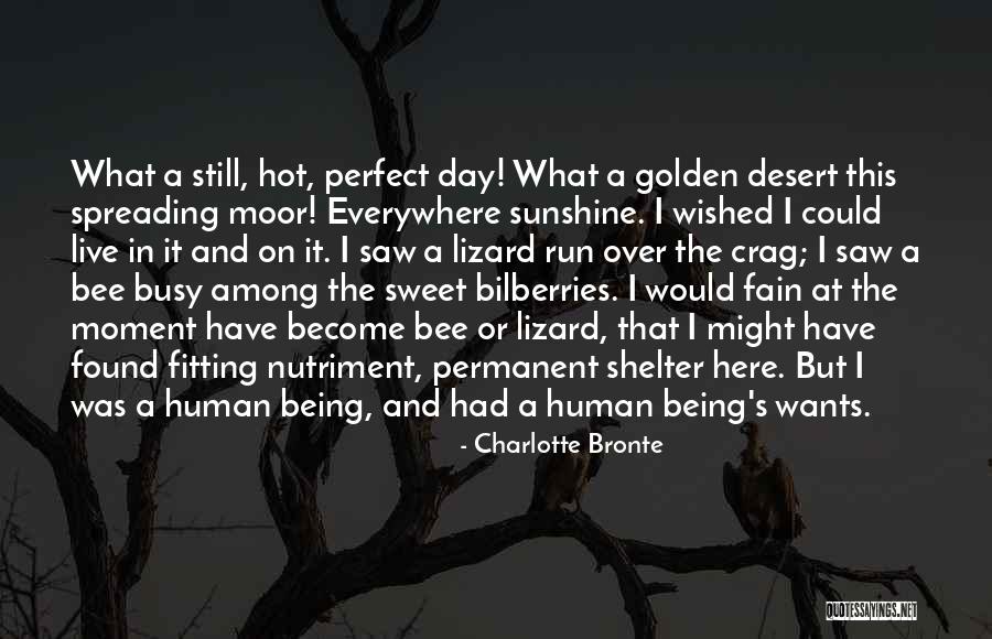 In The Sunshine Quotes By Charlotte Bronte In The Sunshine Quotes By Charlotte Bronte