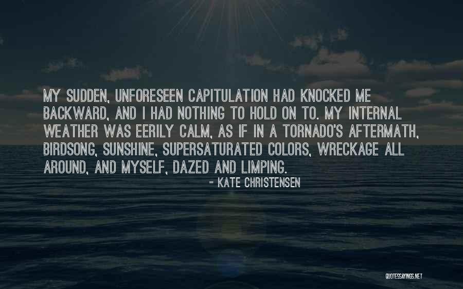In The Sunshine Quotes By Kate Christensen In The Sunshine Quotes By Kate Christensen