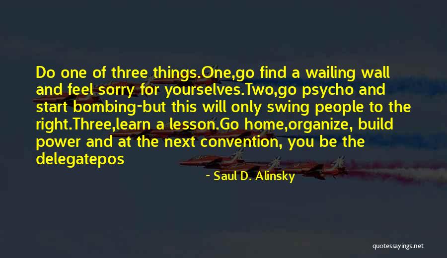 In This Home Wall Quotes By Saul D. Alinsky