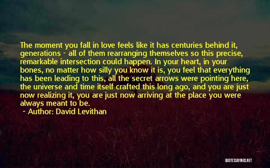 In Time Everything Will Fall Into Place Quotes By David Levithan