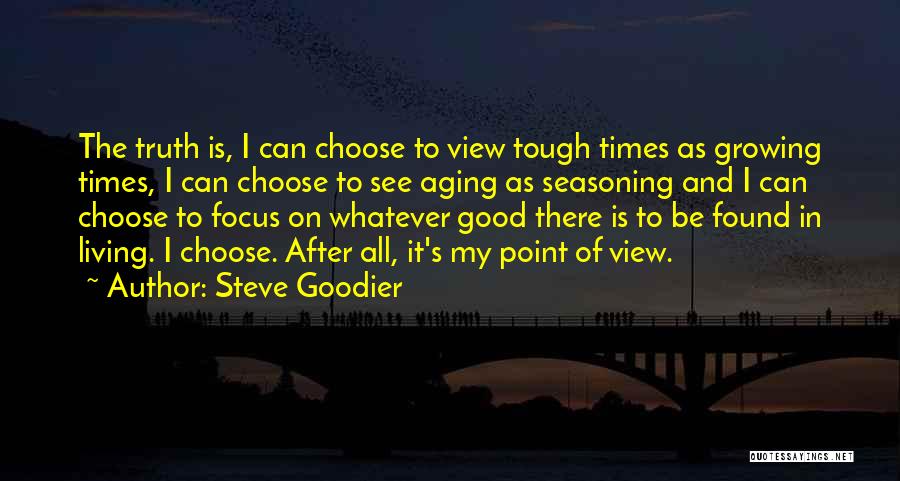 In Times Of Adversity Quotes By Steve Goodier