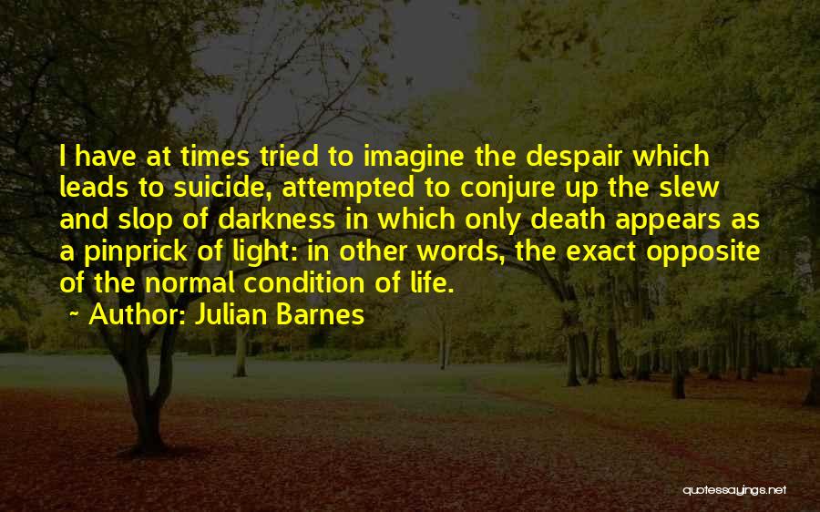 In Times Of Despair Quotes By Julian Barnes