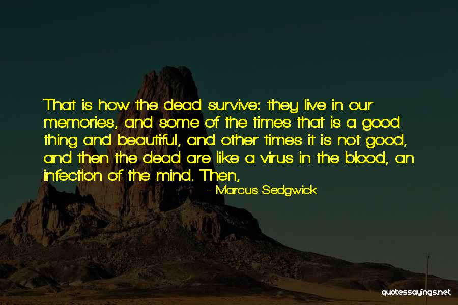 In Times Of Quotes By Marcus Sedgwick