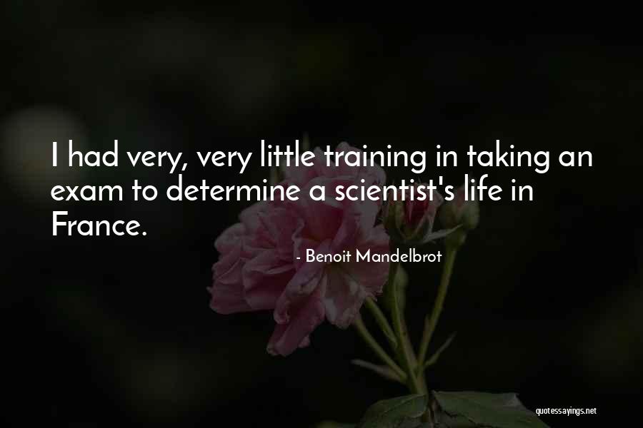 In Training Quotes By Benoit Mandelbrot