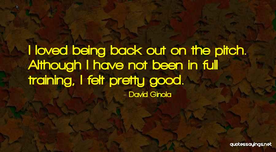 In Training Quotes By David Ginola