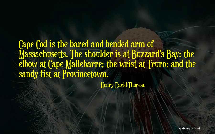 In Truro Quotes By Henry David Thoreau In Truro Quotes By Henry David Thoreau