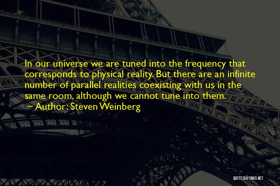 In Tune With The Universe Quotes By Steven Weinberg