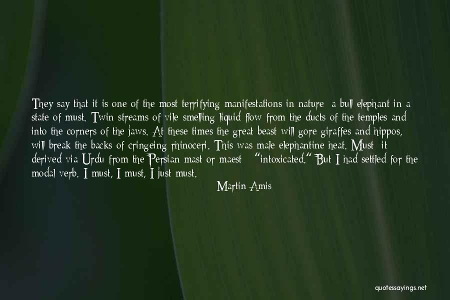 In Urdu Quotes By Martin Amis In Urdu Quotes By Martin Amis