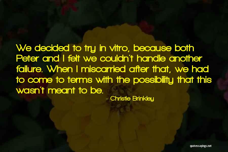 In Vitro Quotes By Christie Brinkley In Vitro Quotes By Christie Brinkley