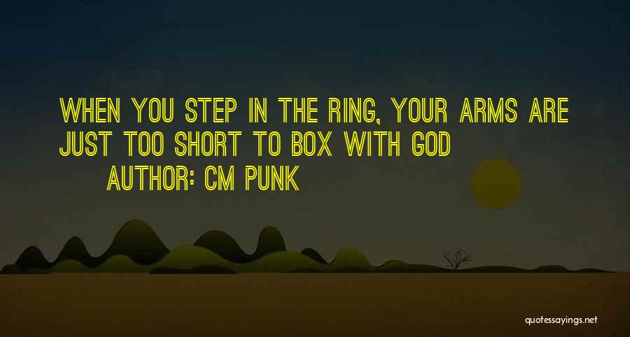 In Your Arms Quotes By CM Punk