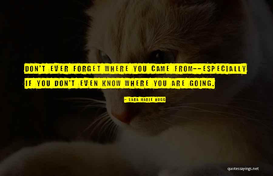 In Your Fifties Quotes By Sara Marie Hogg In Your Fifties Quotes By Sara Marie Hogg