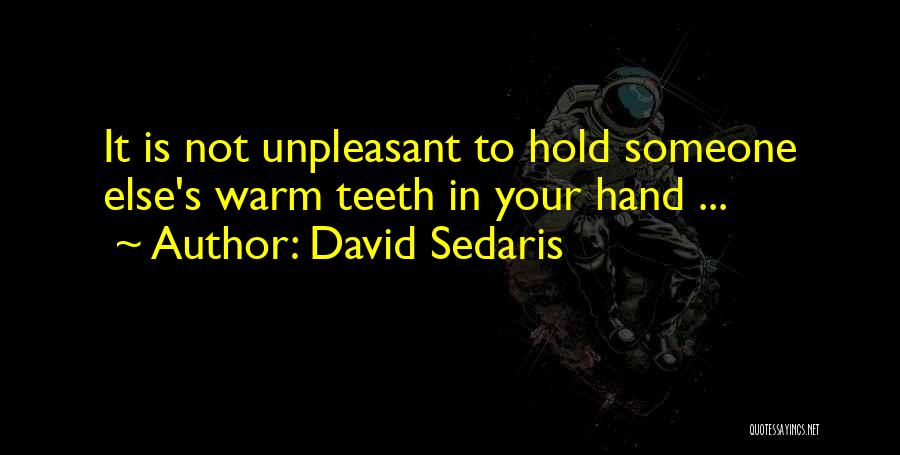 In Your Hand Quotes By David Sedaris