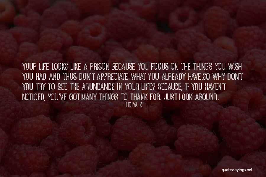 In Your Life Quotes By Lidiya K.