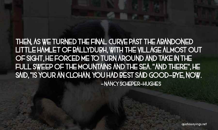 In Your Past Quotes By Nancy Scheper-Hughes In Your Past Quotes By Nancy Scheper-Hughes