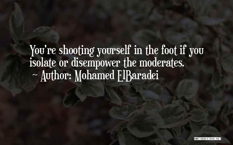 In Yourself Quotes By Mohamed ElBaradei