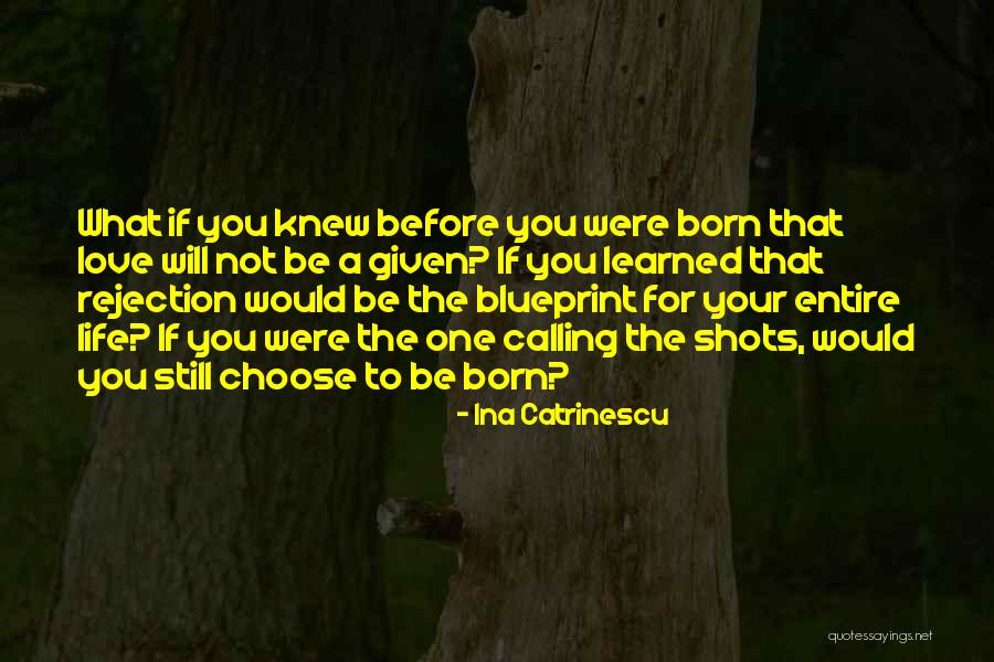Ina Catrinescu Quotes 1794966 Ina Catrinescu Quotes 1794966