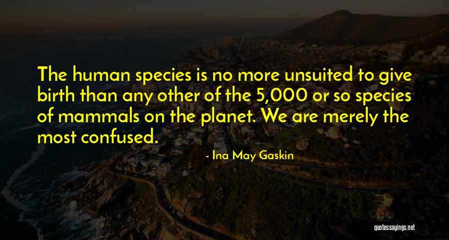 Ina May Gaskin Quotes 1552226 Ina May Gaskin Quotes 1552226