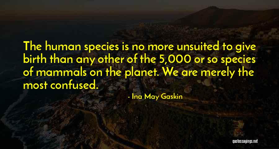 Ina May Gaskin Quotes 1552226