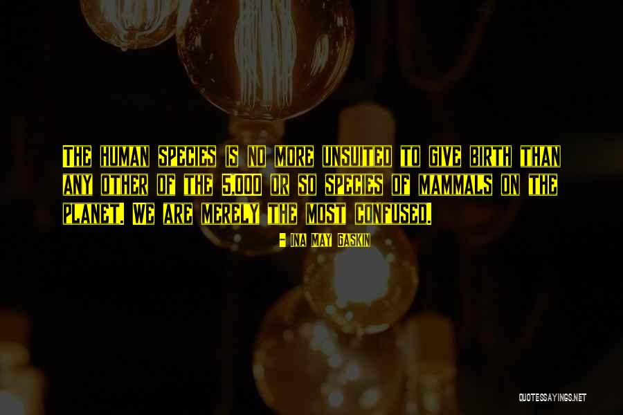 Ina May Quotes By Ina May Gaskin Ina May Quotes By Ina May Gaskin