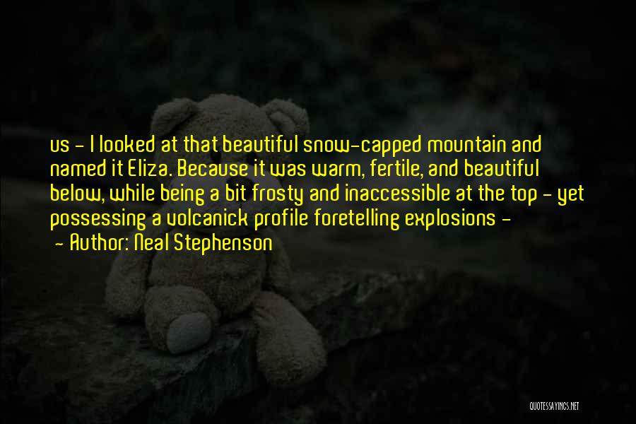 Inaccessible Quotes By Neal Stephenson